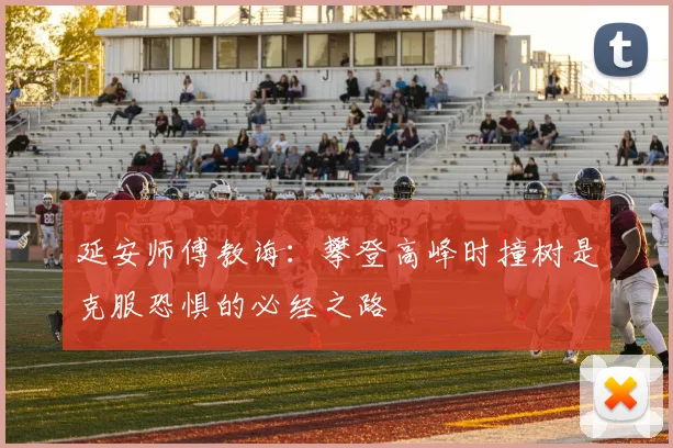 延安师傅教诲：攀登高峰时撞树是克服恐惧的必经之路