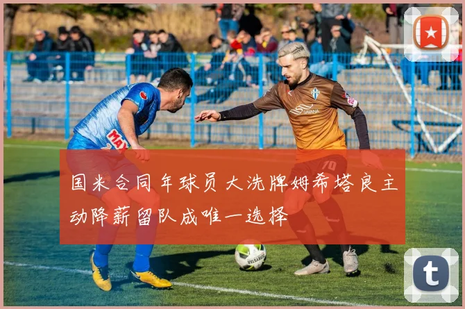 国米合同年球员大洗牌姆希塔良主动降薪留队成唯一选择